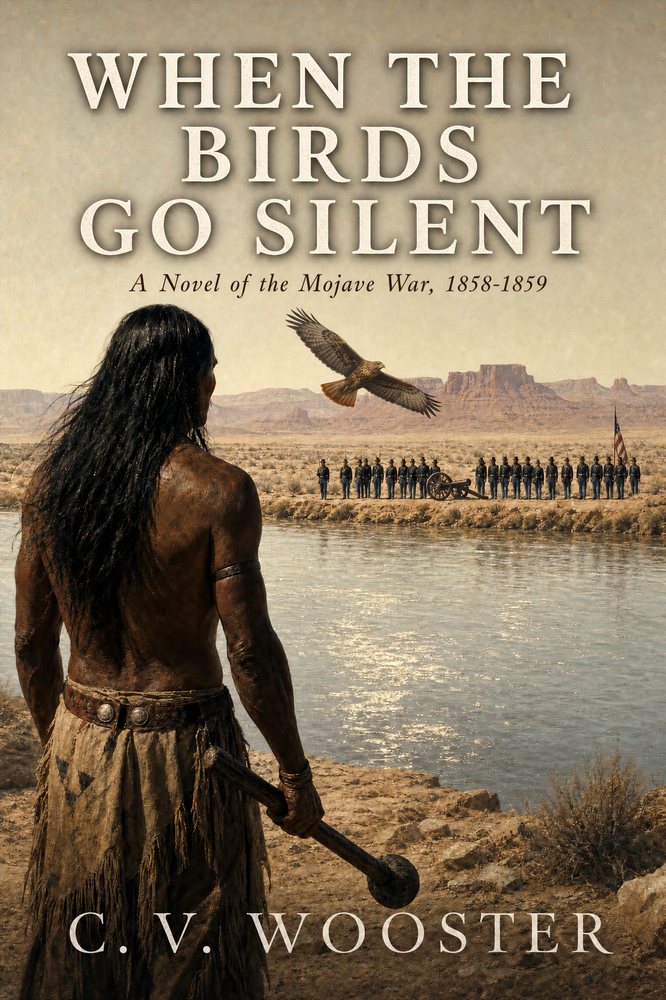 When the Birds Go Silent cover
